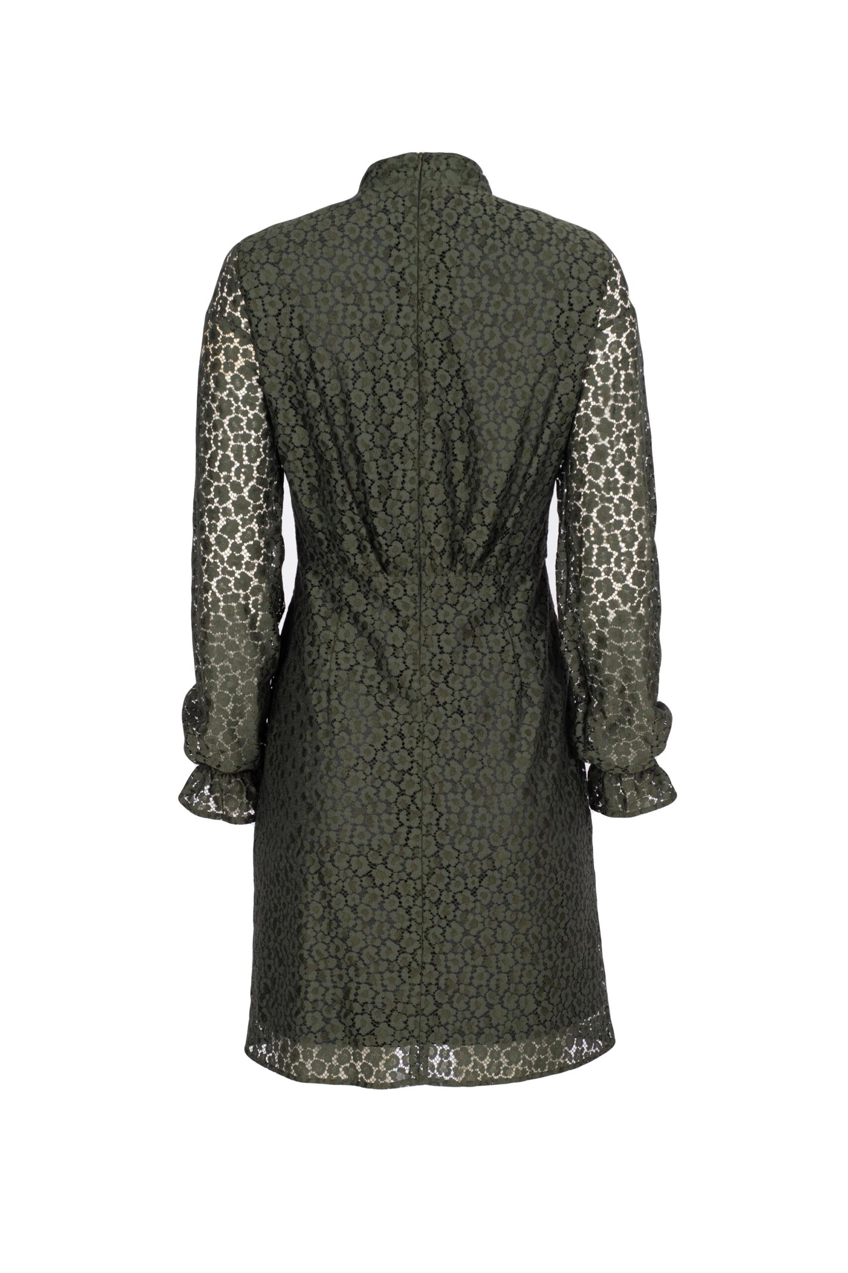 Lace Victorian Style Dress with Waist Ruching